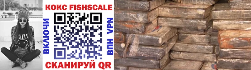 COCAIN Fish Scale  ссылка на мегу   Мариинский Посад 