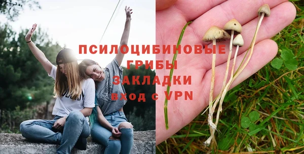 а пвп мука Аркадак