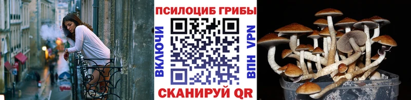 Галлюциногенные грибы мицелий  даркнет сайт  Мариинский Посад 
